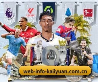 web-info-kaiiyuan.com.cn APP